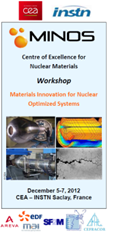 First international workshop MINOS : FOCUS on the materials of nuclear.
