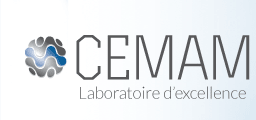 Laboratory of Excellence - CEMAM
